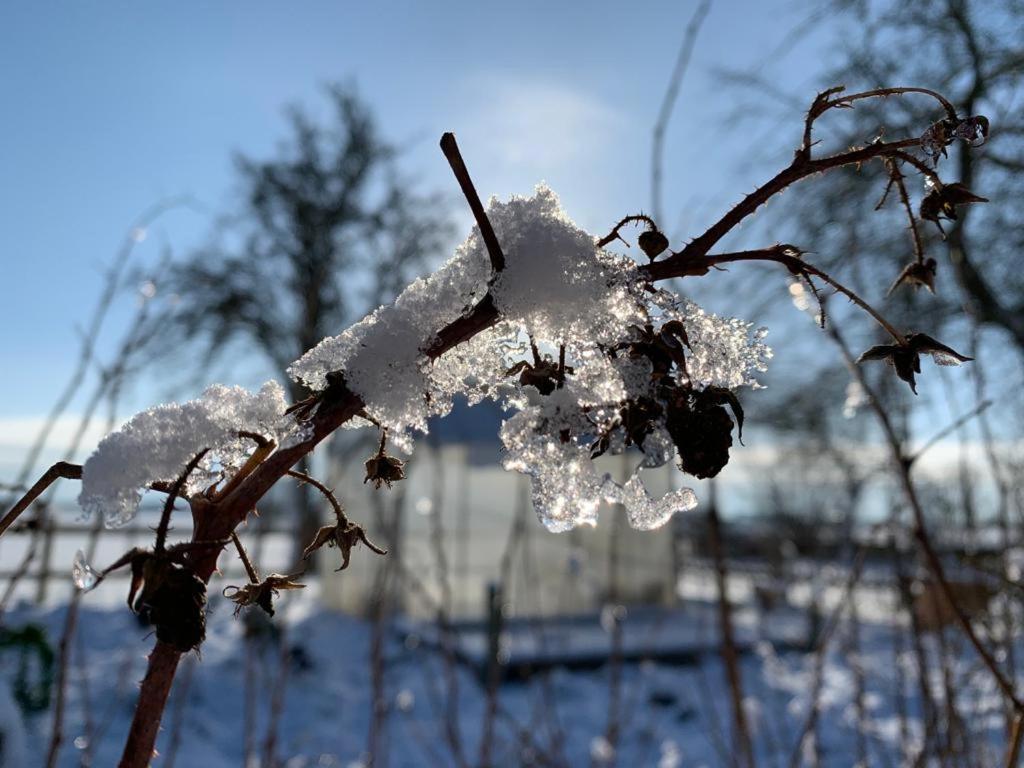 Ostseestuev Boiensdorf ภายนอก รูปภาพ